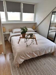 Sun&Sea Holidays-QuDis Tiny House