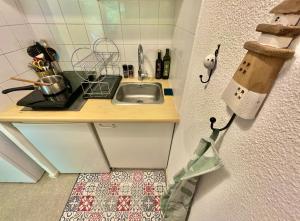 Appartements  Terrasse Teleo  Hopital Rangueil - Pech David : photos des chambres