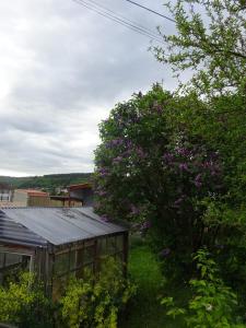 Maisons de vacances family home : photos des chambres