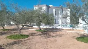 Villa Olivier Midoun - Triffa