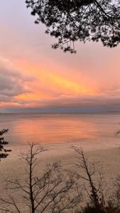 Apartment Molo Orłowo