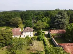 Les Orchidées - Razac-sur-lʼIsle