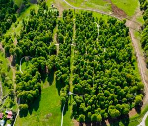 Tribu apart Hotel bakuriani