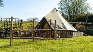 Bluebell bell tent The Roaches - Meerbrook