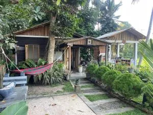 The Lotus Coast - Opatha