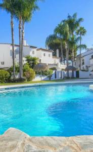 Noctua Estepona Paraiso 017