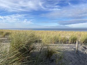 Apartment Strandvilla - LUB116 by Interhome