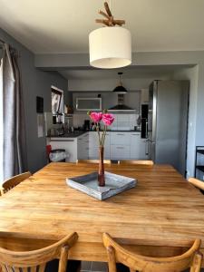 loiseau sur la chaise