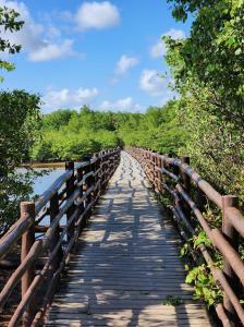 Casa Manguê Tatuamunha