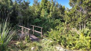 Oceana Suites Refugio Alerce