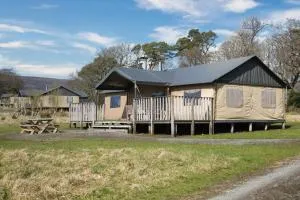 Curlew - Bleasdale - 奇平