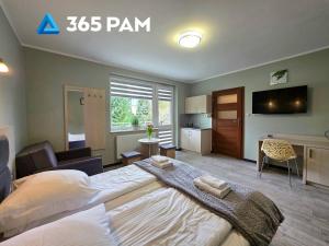 365PAM - Studio C35 Dominikana