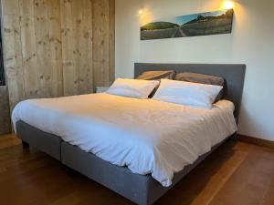 B&B / Chambres d'hotes B&B naturist Villa Oriel Figanieres : photos des chambres