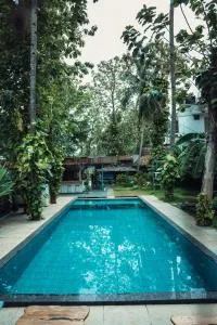 Paddle Cult Surf & Yoga - Attingal