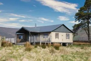 Mallard - Bleasdale - 奇平