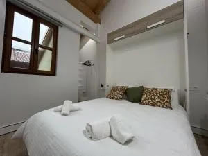 Hiri Zahar Suites 3 - 阿莫雷维耶塔-埃查诺