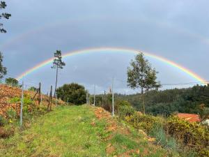 Quinta dos Millagres Studio Apartment