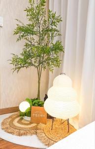 #Daewangam Park #Seuldo Island #Ilsan Beach # OnDam Stay #Rest