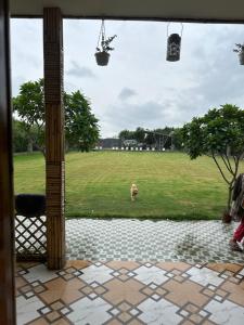 VanRaj Farm