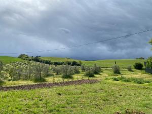 Podere il Mulino appartamento 2