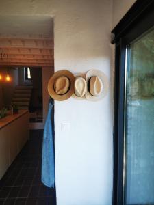 Villas Villa des Amandes : photos des chambres
