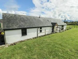 Ty Cuddfan - Llangoed