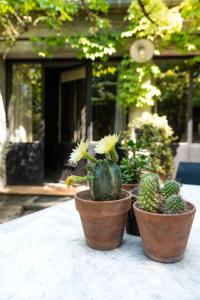 La Maison sur la Colline