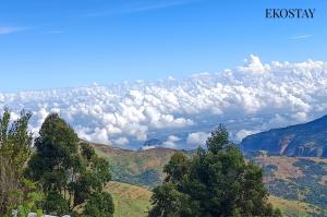 EKOSTAY - Whispering Clouds 1 Room