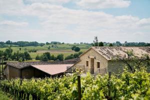 Maisons de vacances Domaine Baudon, situe au coeur des vignes : photos des chambres