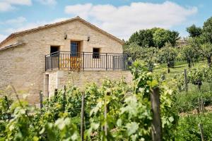 Maisons de vacances Domaine Baudon, situe au coeur des vignes : photos des chambres