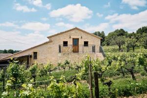 Maisons de vacances Domaine Baudon, situe au coeur des vignes : photos des chambres