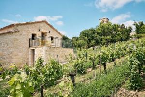 Maisons de vacances Domaine Baudon, situe au coeur des vignes : photos des chambres