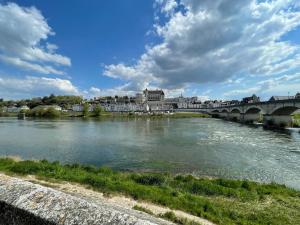 Maisons de vacances gite des martinets and its corner of greenery : photos des chambres