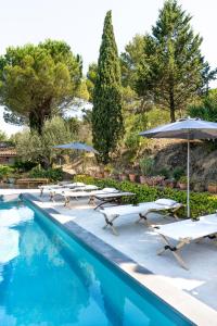 B&B / Chambres d'hotes La Maison sur la Colline : photos des chambres