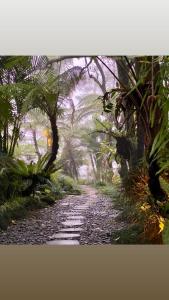 Castle in the sky mountain bliss, Kintamani area
