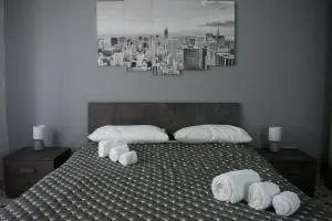 Fly Home - 15 minutes to ROME - 钱皮诺