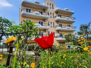 Amarildo Hotel