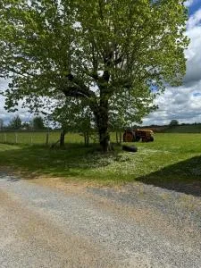 Countryside Gîte - Charroux