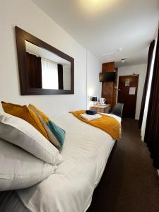 Single Room room in Old Palace Guest House