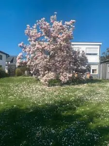 Gästehaus am See - 史塔卡赫