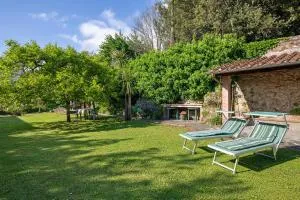 Palazzo Ferretti - Pietrasanta - Vitoio