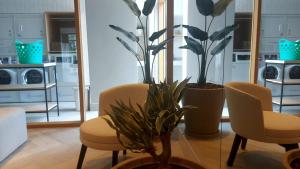 Studio Novo perto do Allianz Parque