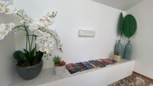 APARTAMENTOS CARMEN
