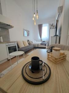 CozyCentralApartment