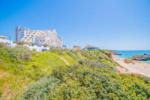 Rocha Beach Apartment, with Pool, 100m from the beach!