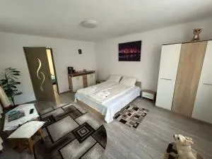 Casa Lenu & Lian - Apold