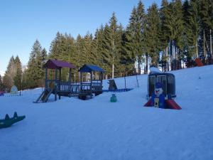 Appartements Morillon 1100 : photos des chambres