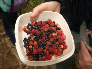 Appartements Morillon 1100 : photos des chambres