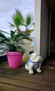 Appartements Beautiful T2 with pool - near beach : photos des chambres