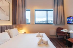 Modern & Spacious Studio in Central Hastings